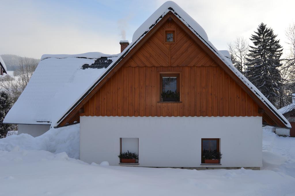 Apartman Karel A Martina Rokytnice nad Jizerou Exterior foto